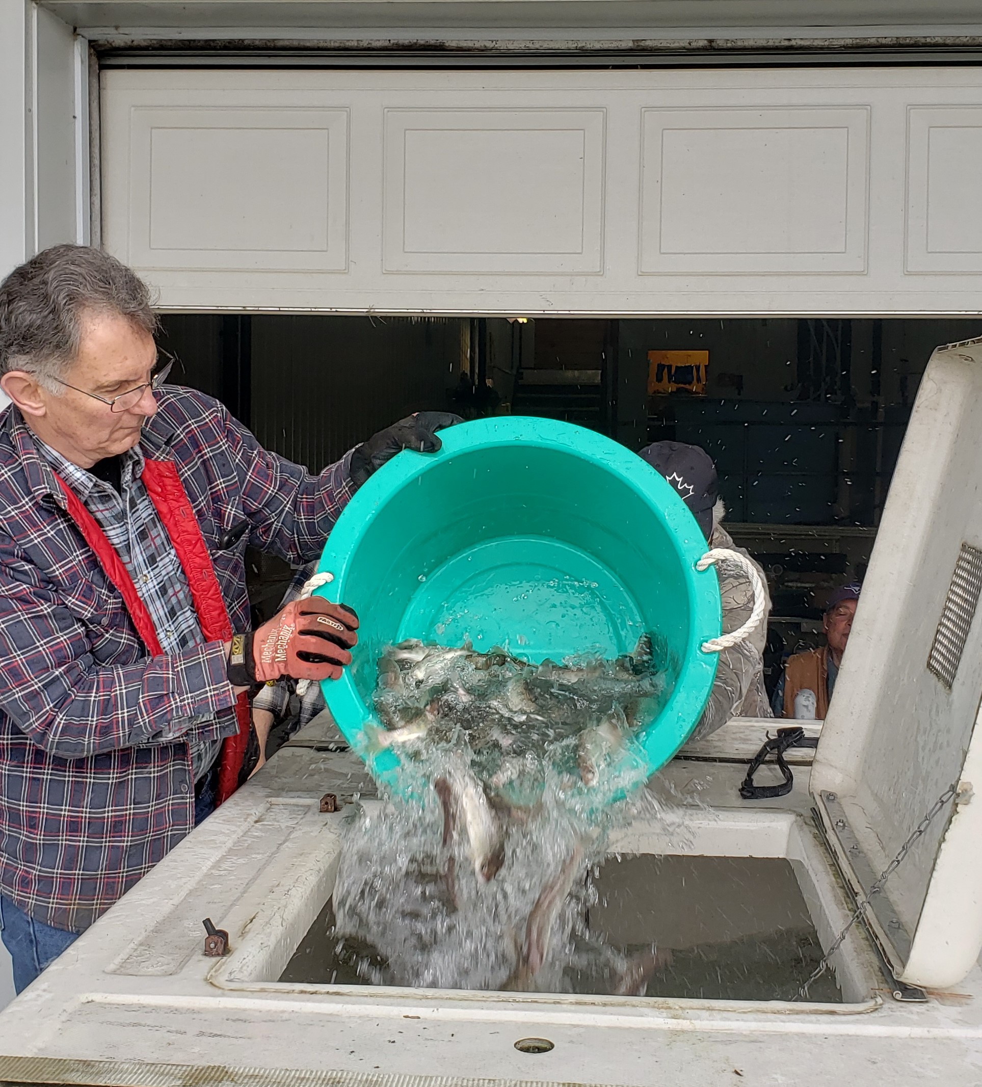 Pandemic proves challenging for local fish hatchery Bancroft this Week