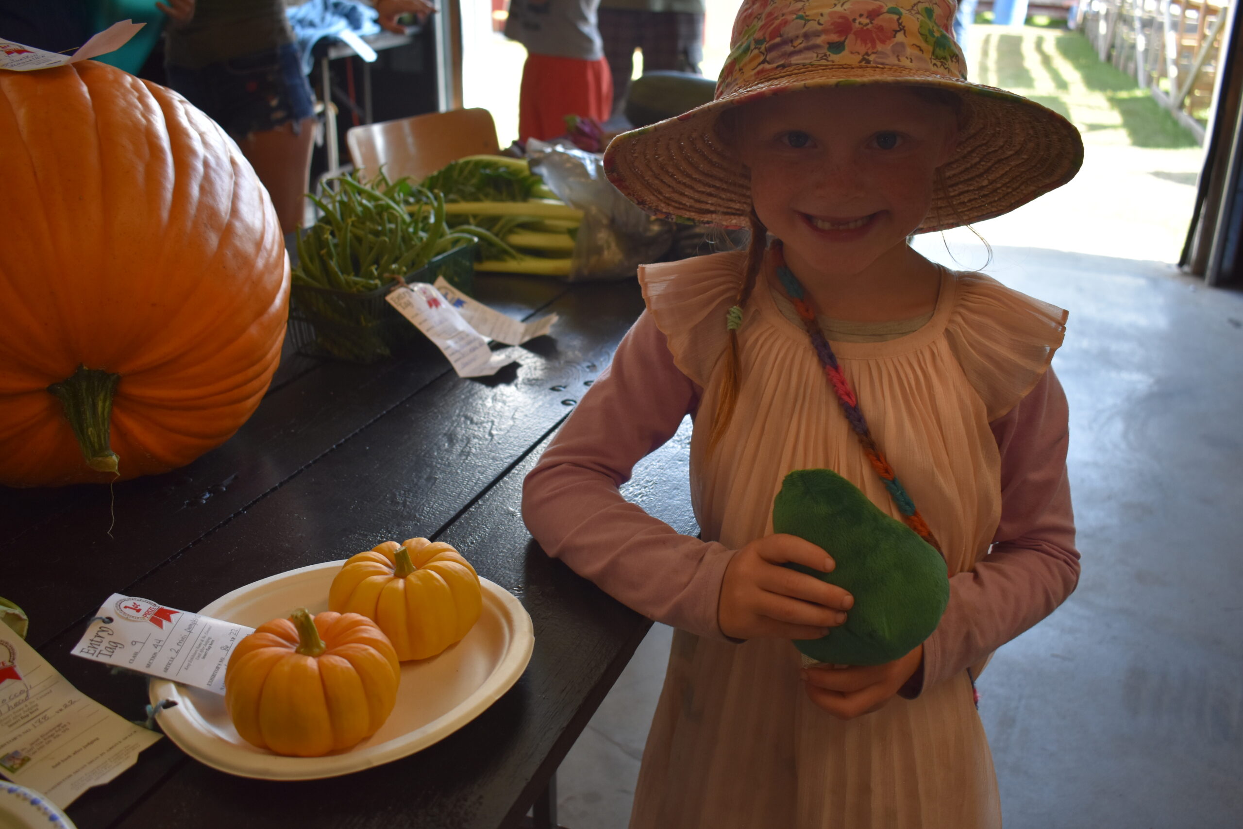 Coe Hill Fair returns Bancroft this Week