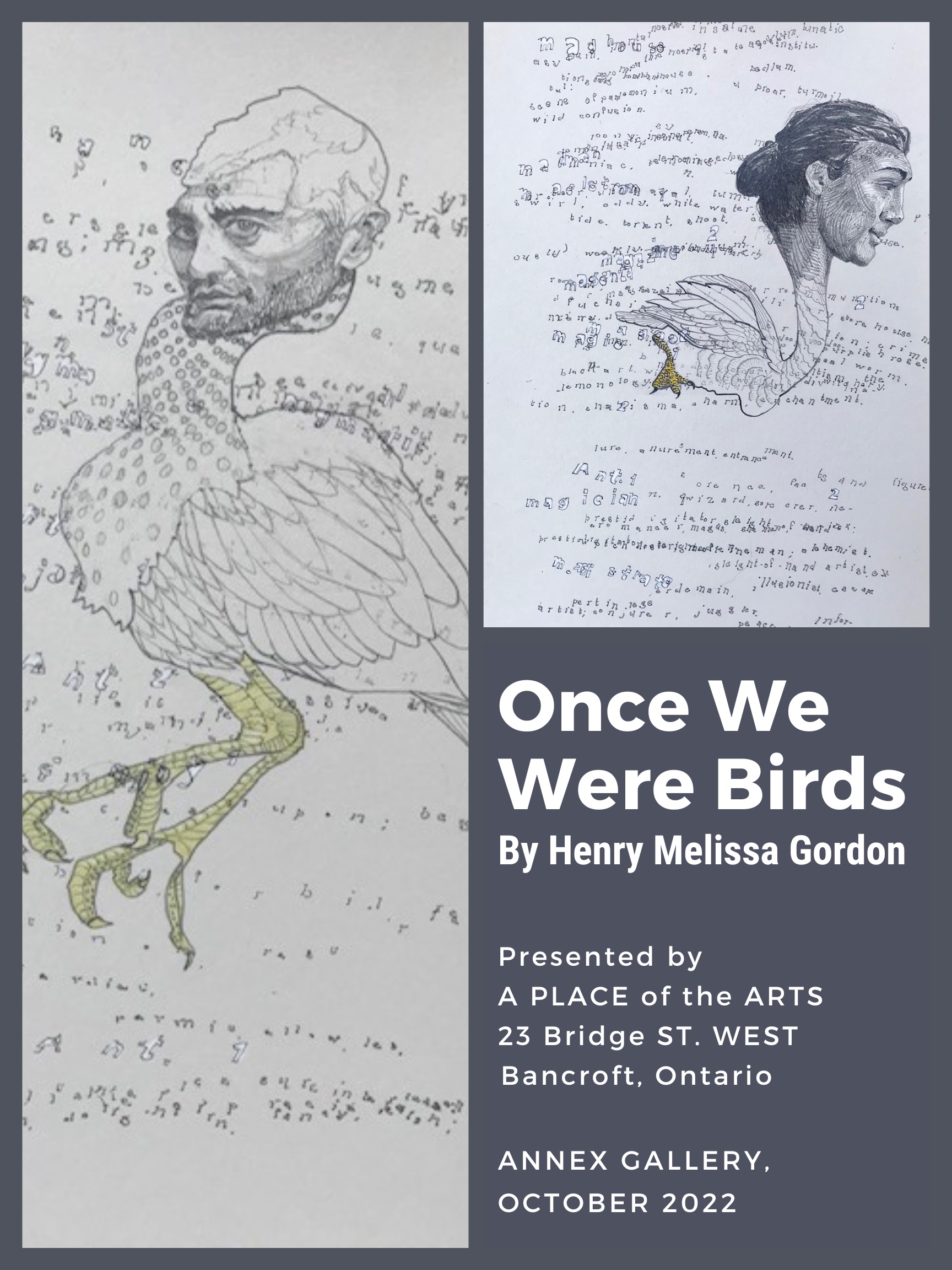 Henry Mellissa Gordon at the Annex Gallery Once We Were Birds
